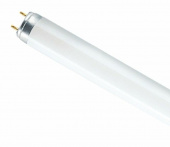 Лампа люминесцентная  Philips TLD18W/765 18Вт хол.-бел.