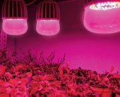 Лампа светодиодная для растений 20Вт Е27 IP54 LED-M80-20W/E27/CL ALS55WH