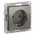 Механизм евророзетки 1СП сталь Schneider ATN000943